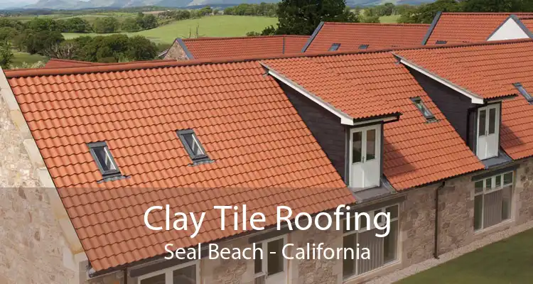 Clay Tile Roofing Seal Beach - California