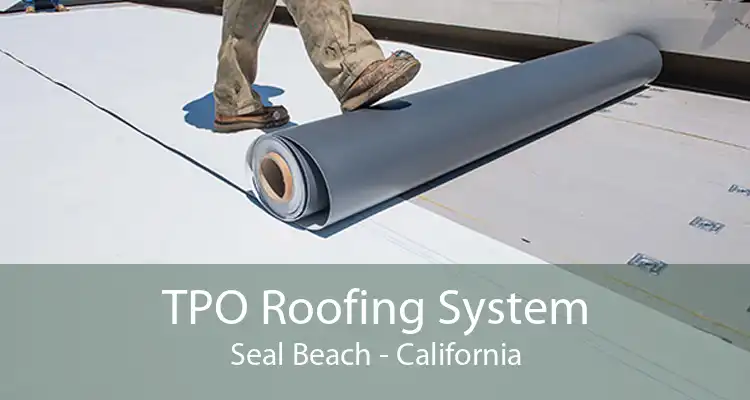 TPO Roofing System Seal Beach - California